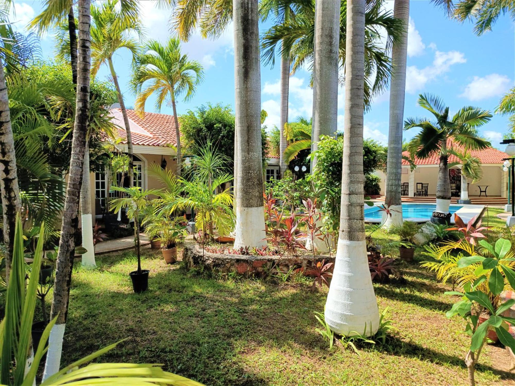 Tulipanes Cancún Exteriér fotografie
